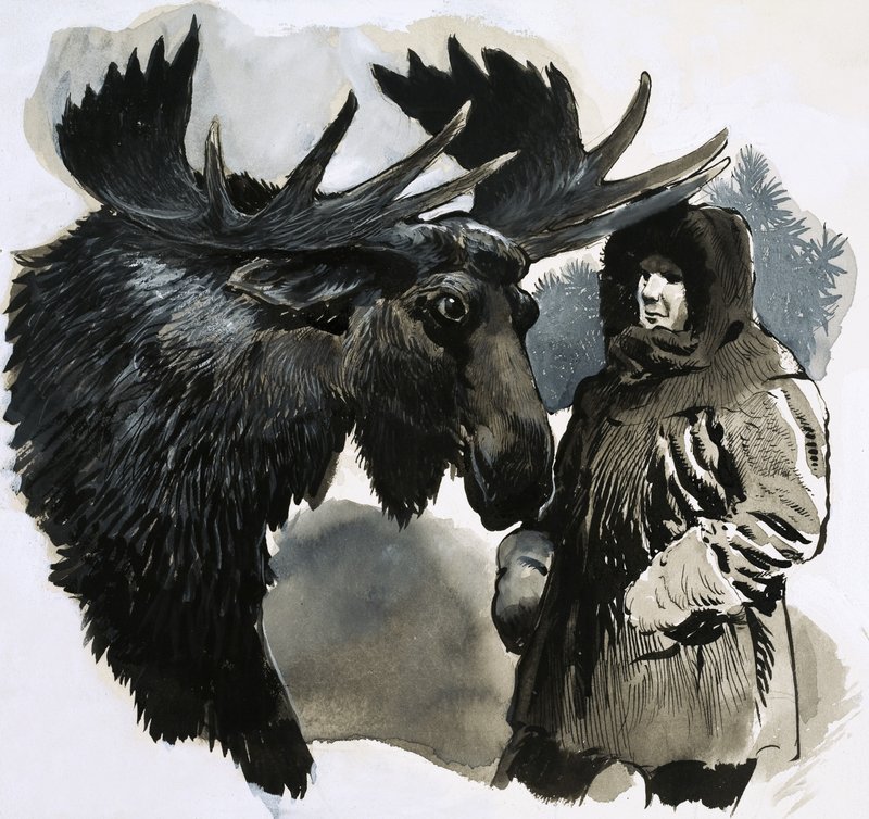 En tjur älg av English School