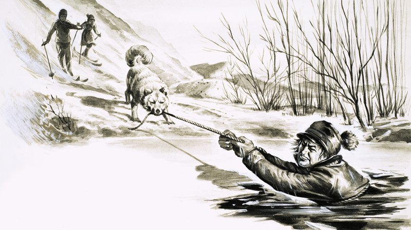 En hund räddar en man från en isig pool av English School