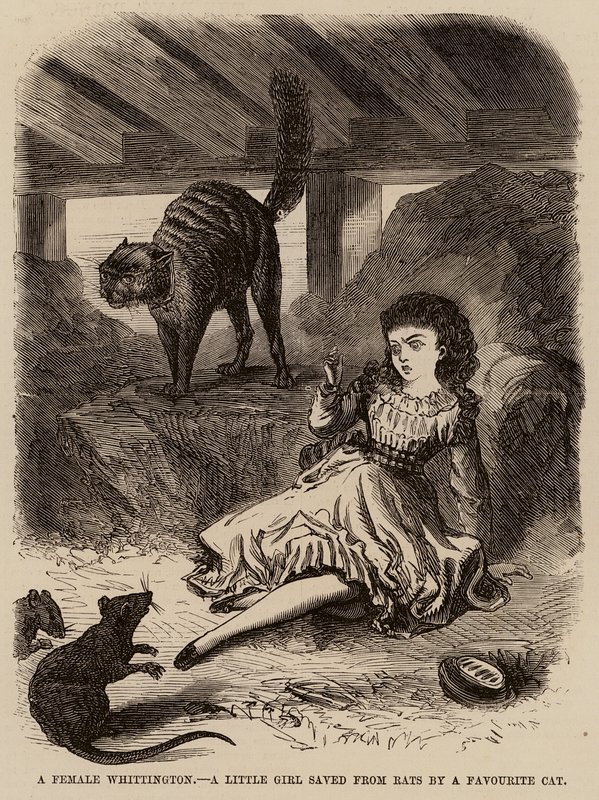 En kvinnlig Whittington, en liten flicka som räddas från råttor av en favoritkatt (gravyr) av English School