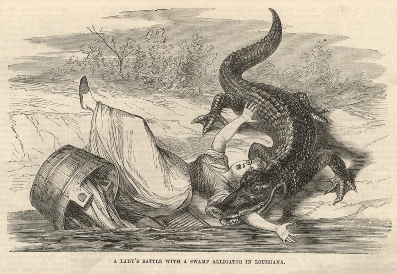 En damstrid med en träsk-alligator i Louisiana av English School