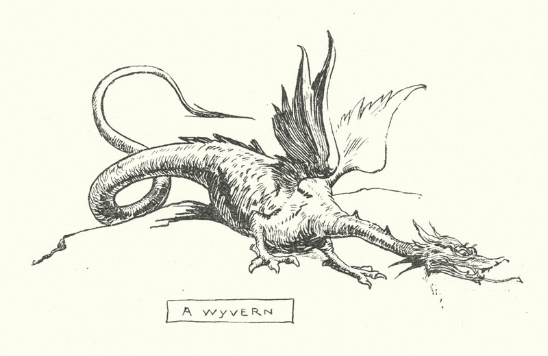 En wyvern (gravyr) av English School