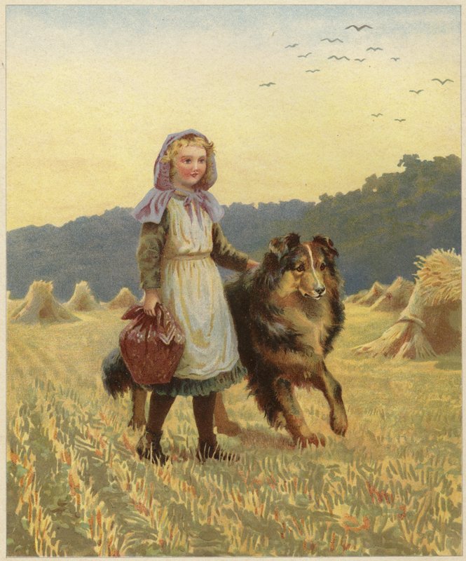 En ung flicka som står på ett fält med sin hand på sin colliehund av English School