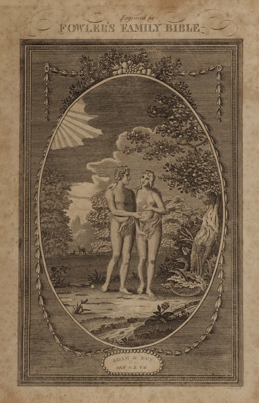 Adam och Eva, Genesis, kapitel 3, vers 6 (gravyr) av English School
