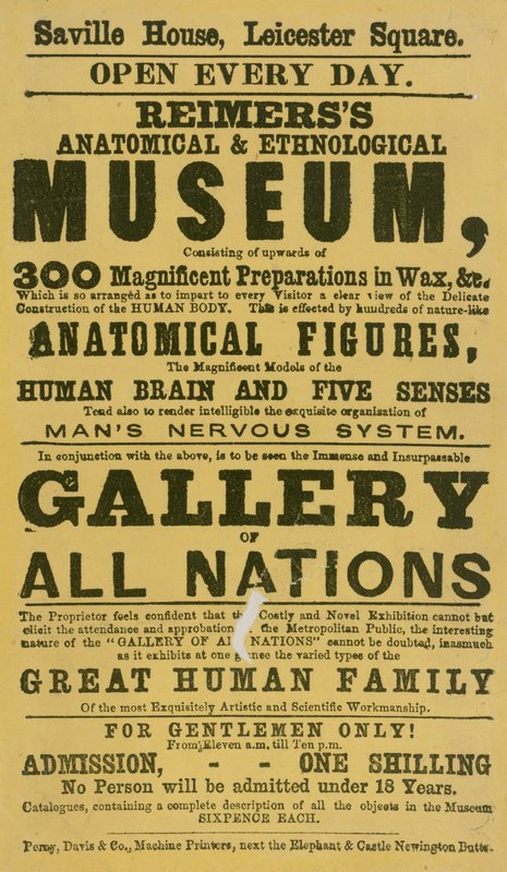 Annons för Reimerss anatomiska och etnologiska museum av English School