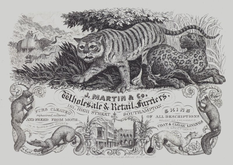 Annons för J Martin & Co, grossist och detaljhandel furriers, Southampton, Hampshire (litho) av English School