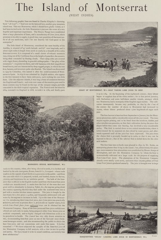 Annons, ön Montserrat, Västindien (gravyr) av English School