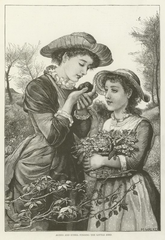 Agnes och Ethel hittar den lilla fågeln av English School