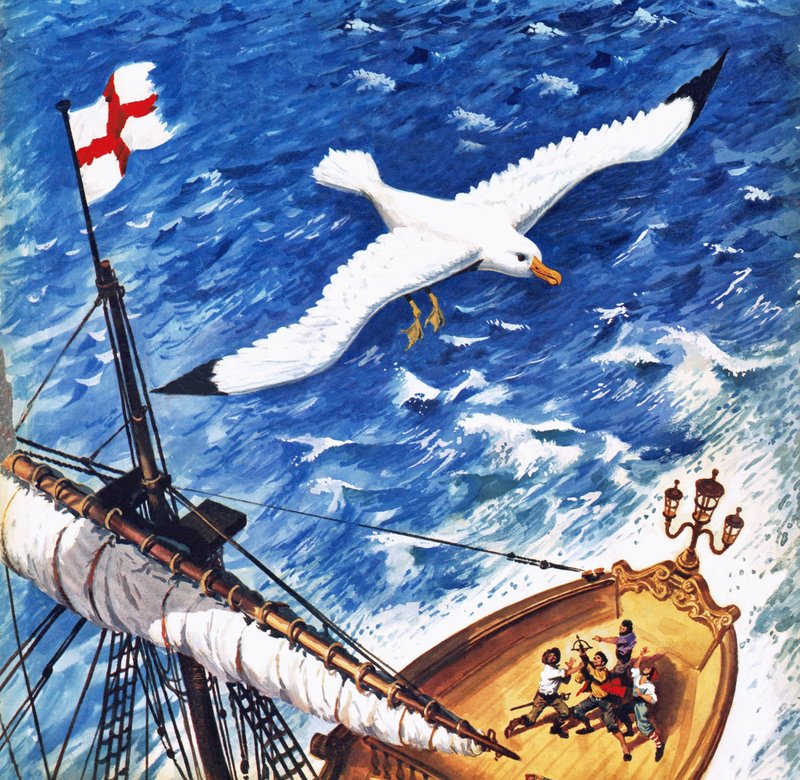 Albatross av English School