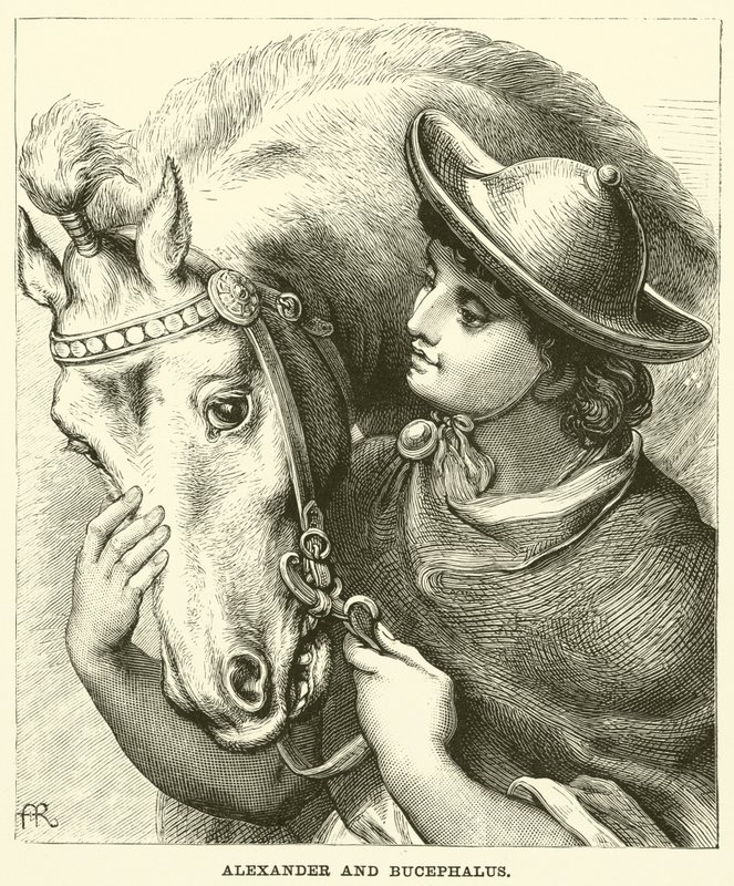 Alexander och Bucephalus (gravyr) av English School