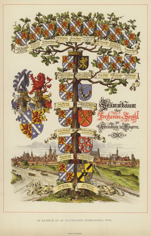 Ett exempel på ett upplyst genealogiskt träd (färg litho) av English School