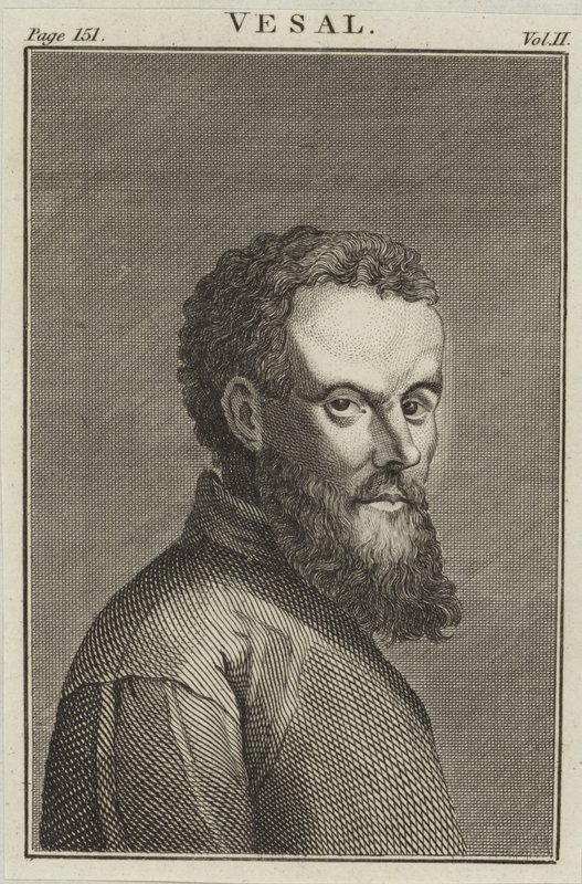 Andreas Vesalius av English School