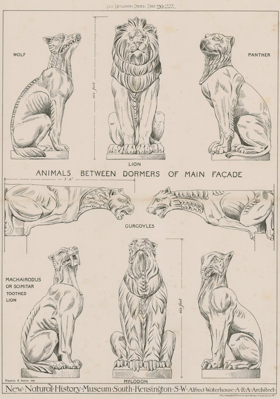 Djur mellan takkupor på huvudfasaden på det nya Naturhistoriska museet, South Kensington av English School
