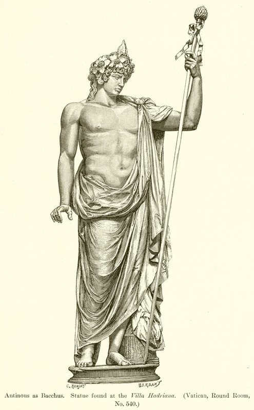 Antinous som Bacchus. Staty hittad vid Villa Hadriana. (Vatikanen, runda rummet, nr 540) av English School