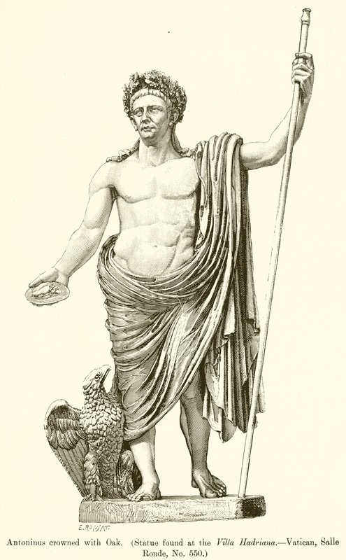 Antoninus krönt med ek. (Staty hittad vid Villa Hadriana.--Vatikanen, Salle Ronde, nr 550) av English School