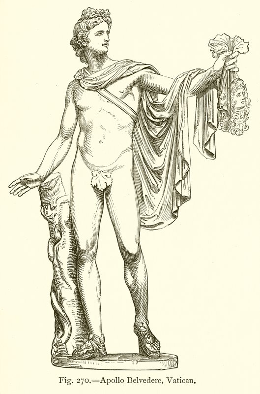Apollo Belvedere, Vatikanen av English School