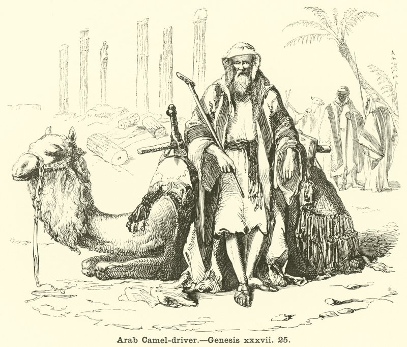 Arabisk kamelförare, Genesis, xxxvii, 25 av English School