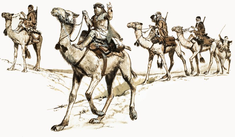 Araber som korsar öknen på kameler av English School