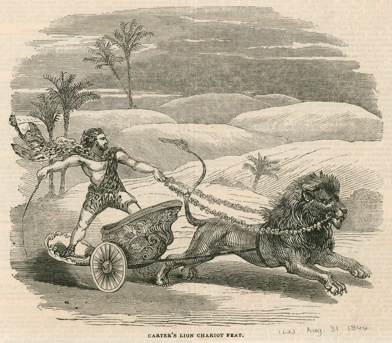 Astleys Amphitheatre, London - Carters lion chariot feat av English School