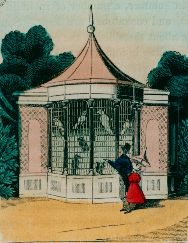 Voljär för papegojor och kakaduor på Londons zoo. 1840-talet av English School
