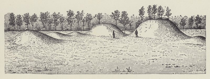Avondale Mounds, Washington County, Mississippi (litho) av English School