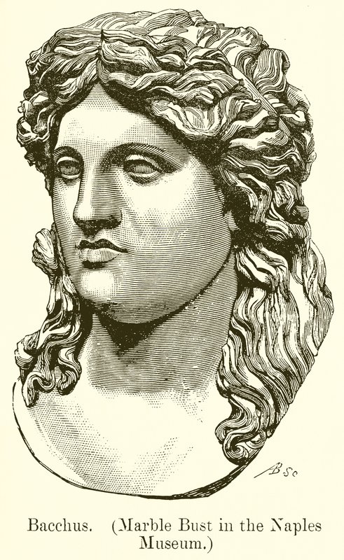 Bacchus. (Marmorbyst i Neapels museum) (gravyr) av English School