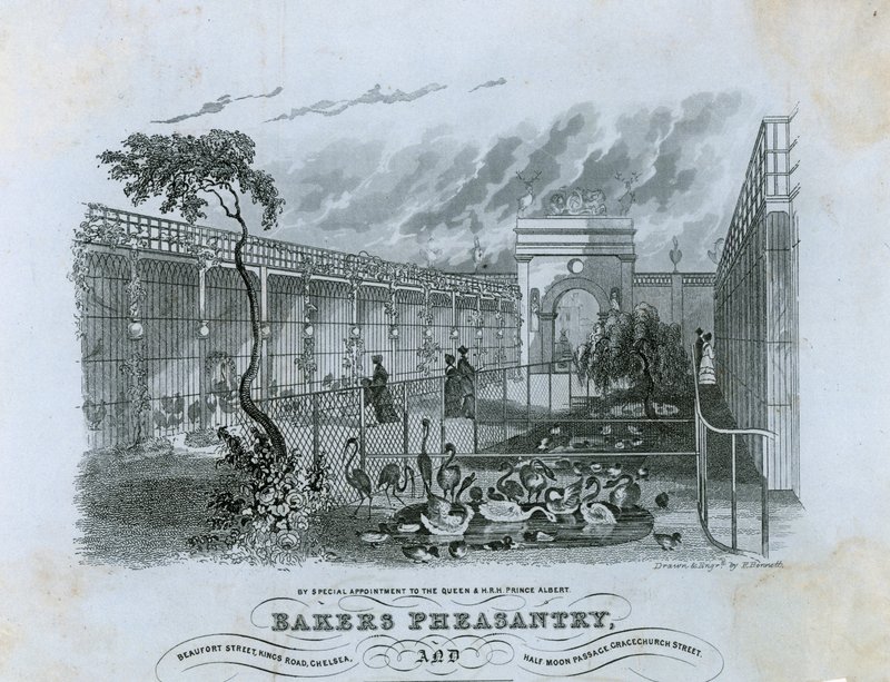 Bakers Pheasantry, Chelsea av English School