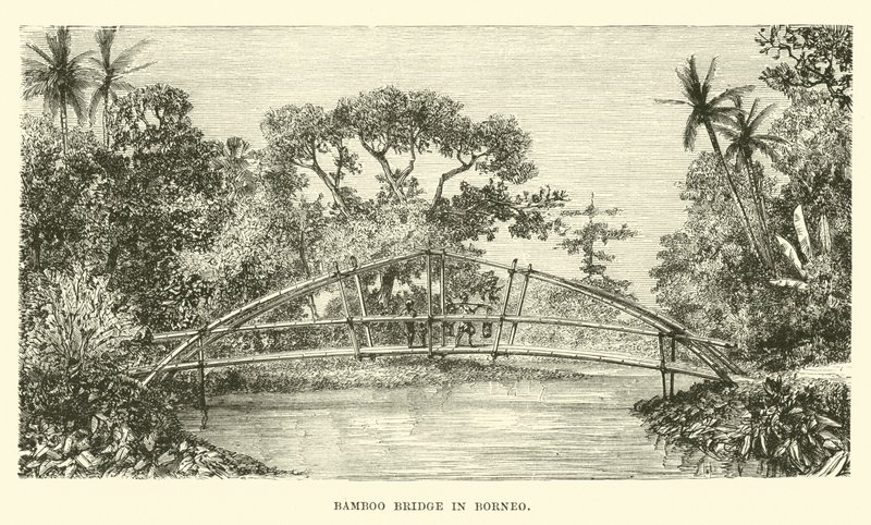 Bambubro i Borneo av English School