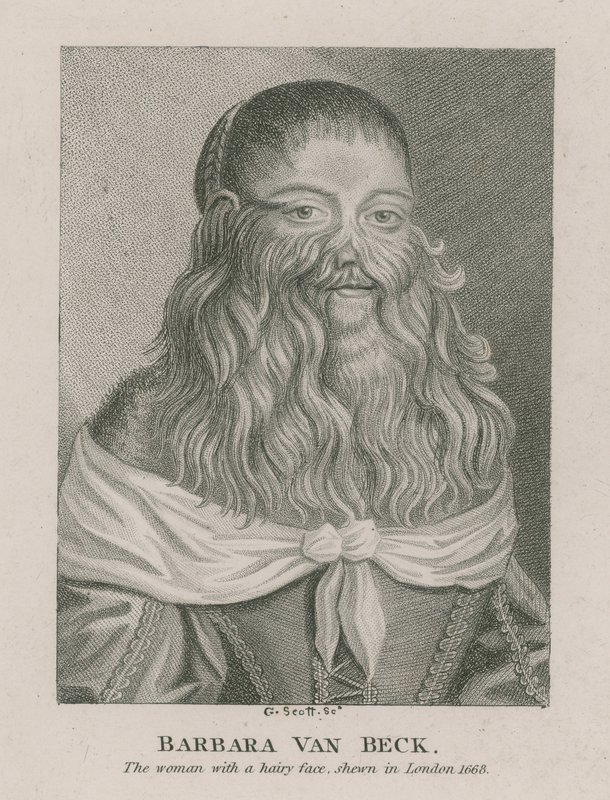 Barbara Van Beck, kvinnan med ett hårigt ansikte, visas i London, 1668 av English School