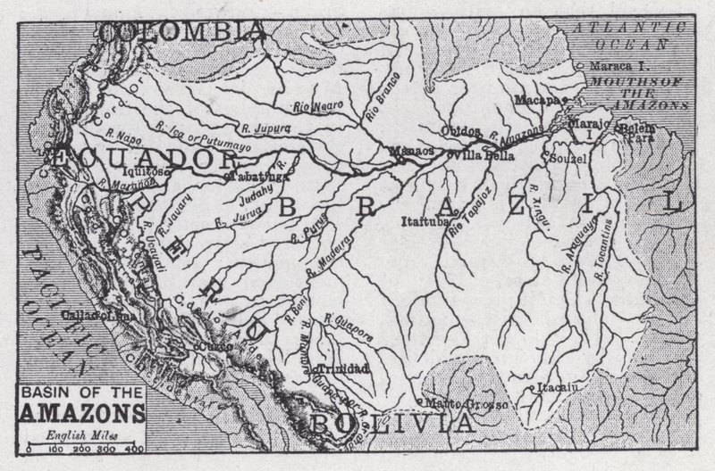 Amazonas bassäng (litho) av English School
