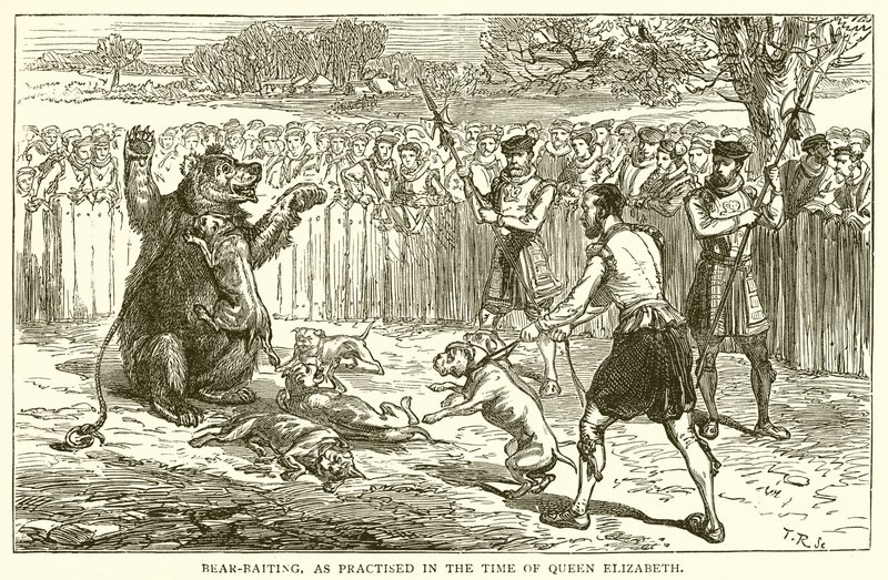 Bear-Baiting, som utövades på drottning Elizabeths tid av English School
