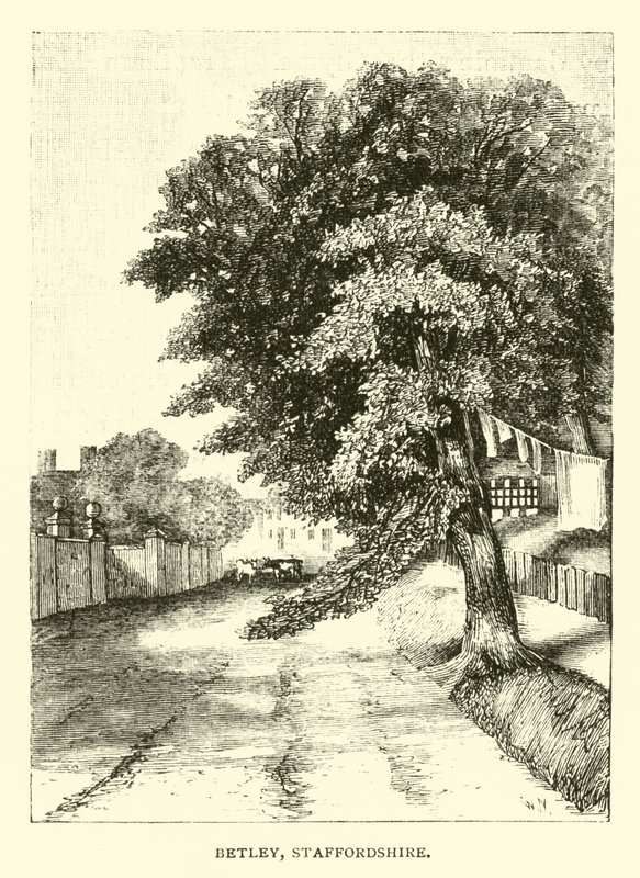 Betley, Staffordshire av English School