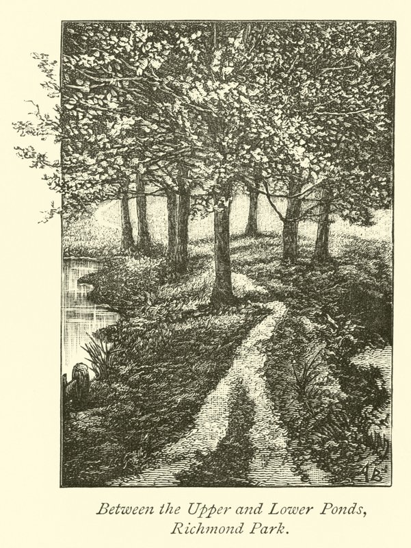 Mellan Upper och Lower Ponds, Richmond Park av English School