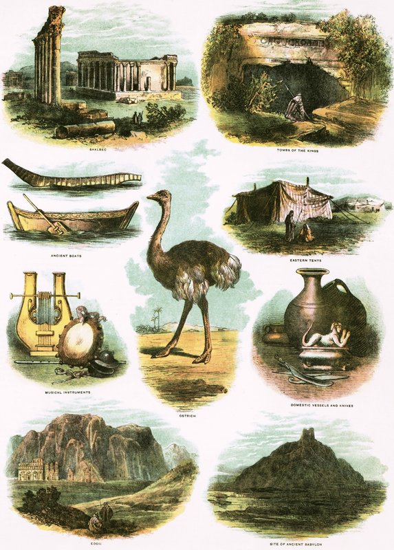 bibliska illustrationer av English School