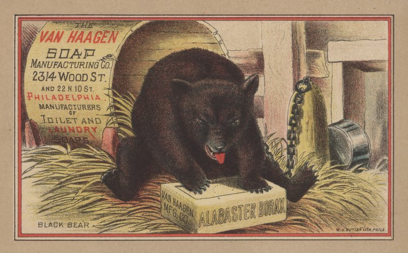 Svart björn (färg litho) av English School