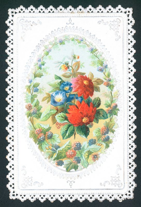 Björnbär och blommor, kort av English School