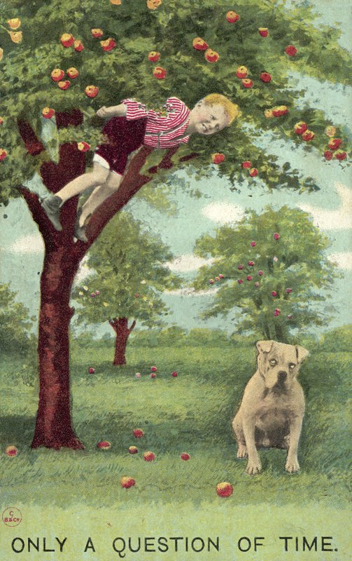 Pojke i äppelträd, med hund nedanför som väntar på att han ska falla (färg litho) av English School