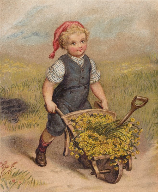 Pojke skjuter en skottkärra full med blommor (chromolitho) av English School