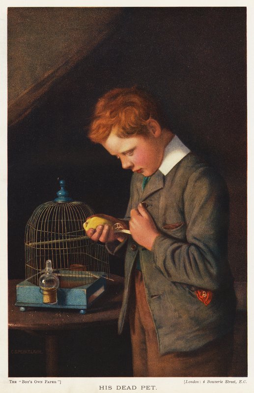 Pojke med sin döda kanariefågel (färg litho) av English School