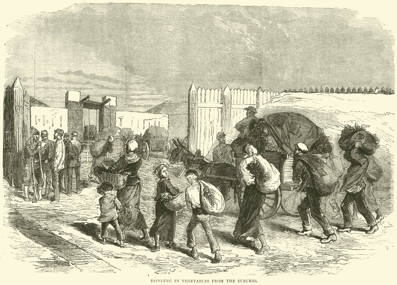 Införa grönsaker från förorten, oktober 1870 av English School