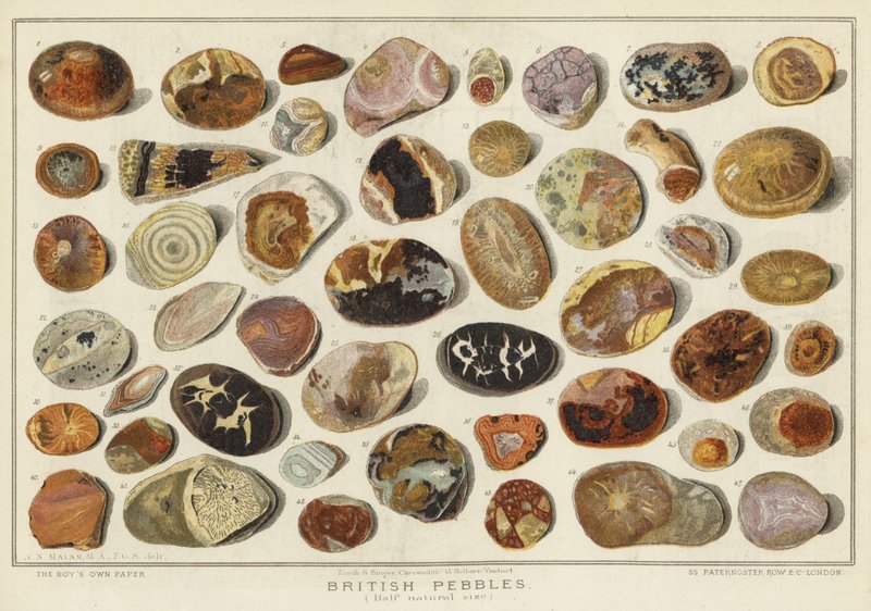 British Pebbles (chromolitho) av English School