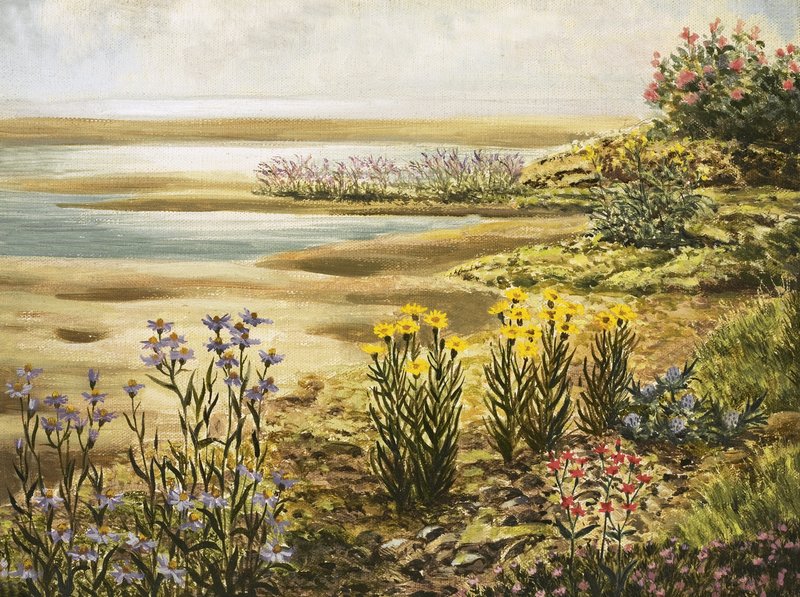 Brittiska blommor på salta gräsmarker av English School