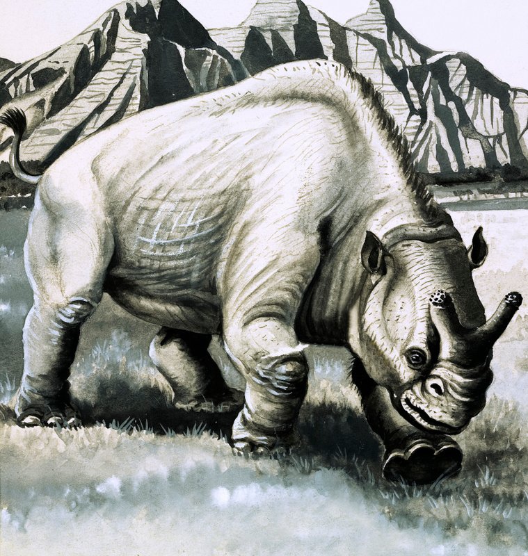 Brontotherium från oligocenåldern av English School