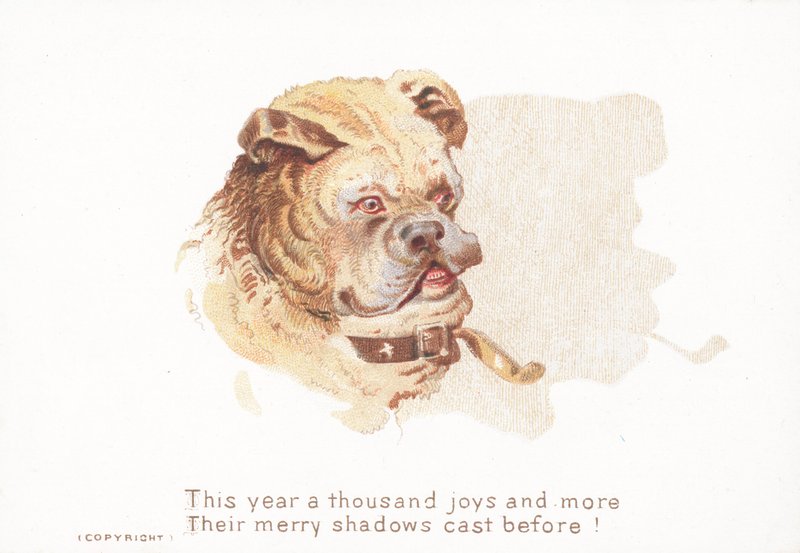 Bulldog och skugga, julkort av English School
