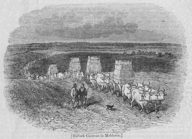 Bullock Caravan i Moldavien av English School
