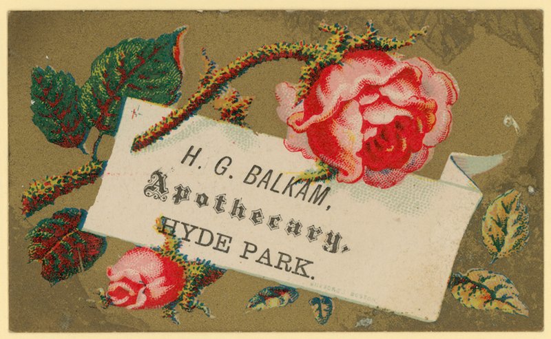 Visitkort för H G Balkam, Apothecary, Hyde Park (chromo) av English School