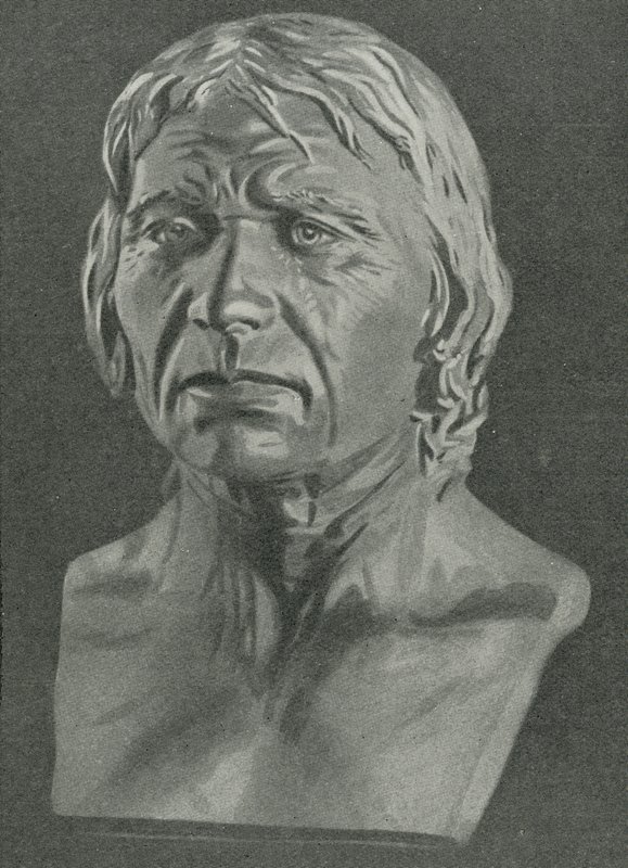 Byst av en Cro-Magnon-man av English School