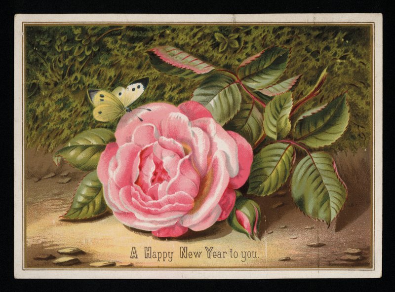 Fjäril med en rosa ros, hälsningskort för nyår (chromolitho) av English School