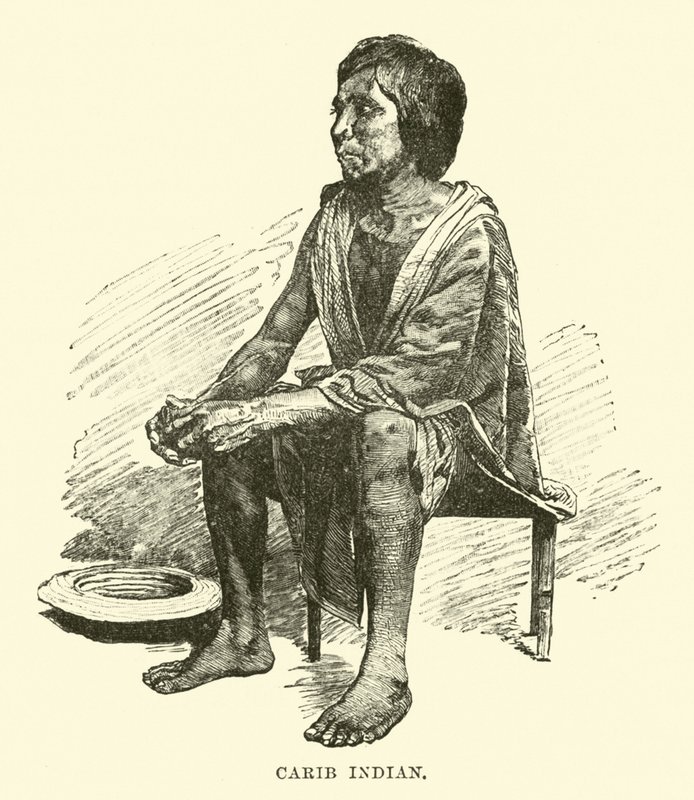 Karibisk indian av English School