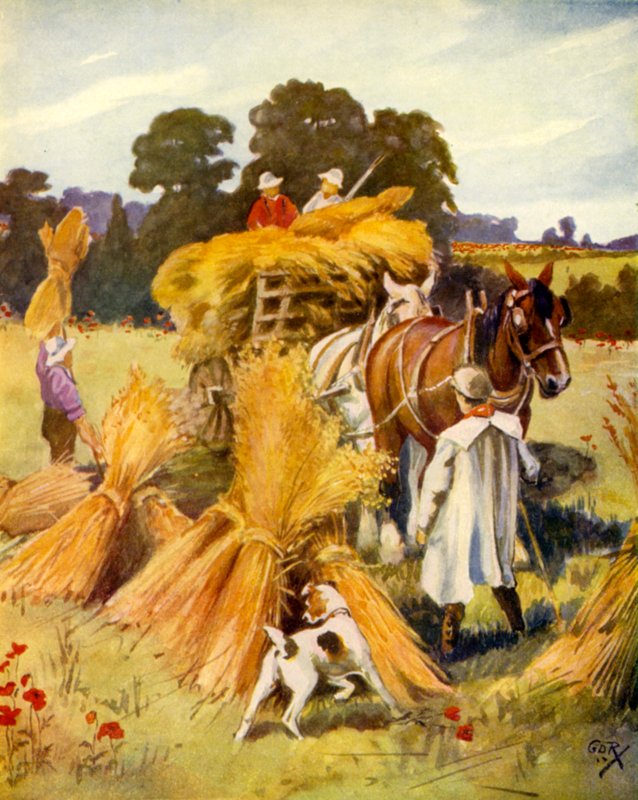 Carting the Corn (färg litho) av English School