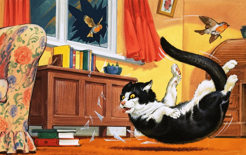 Katt faller genom glasfönstret av English School